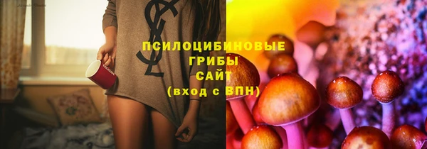 скорость Арсеньев