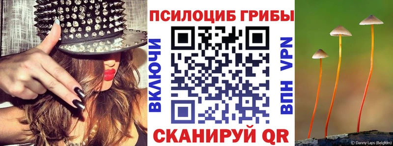Псилоцибиновые грибы GOLDEN TEACHER где найти наркотики Слободской